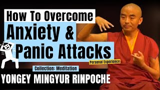 How Meditation Helps Me to Overcome Panic Attacks - Yongey Mingyur Rinpoche | LSE 2018【C:Y.M.R Ep.1】