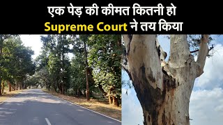 एक पेड़ की कीमत कितनी हो Supreme Court ने तय किया I  Supreme Court I true value of a tree