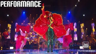 Hibiscus Performs \