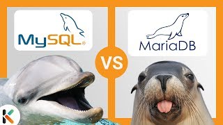 🌊 MySQL VS MariaDB - ¿Cuál es mejor?