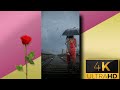 Tor Hata Chola 😘🌹 trending whatsapp status।। Bengali song whatsapp status।।