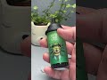 mega mint vape...