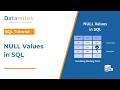 How to Handle NULL Values in SQL Queries | Datamites