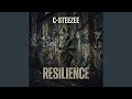 Resilience