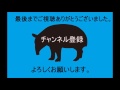 【噂の真相】まさか！？ネット上で囁かれてるあの横綱の薬物疑惑。噂が囁かれてる理由は！？