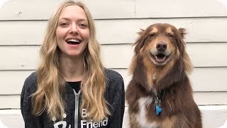 Amanda Seyfried and Her Dog Have a Special Invite for You // Omaze