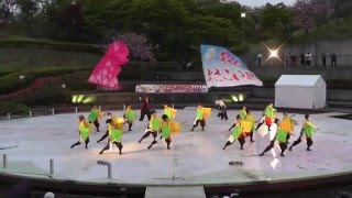 那珂よさこい連～2016静峰八重桜まつりYOSAKOIソーランナイト②～