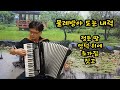 박영민 아코디언 010 4873 5077