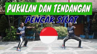 MATERI PJOK | MACAM MACAM PUKULAN DAN TENDANGAN PENCAK SILAT