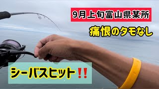 2022年9月上旬富山県某所ショアジギング🎣