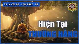 Thấy Cái Giả là Giả chính là Thiền | Ta là Cái Đó – phần 3