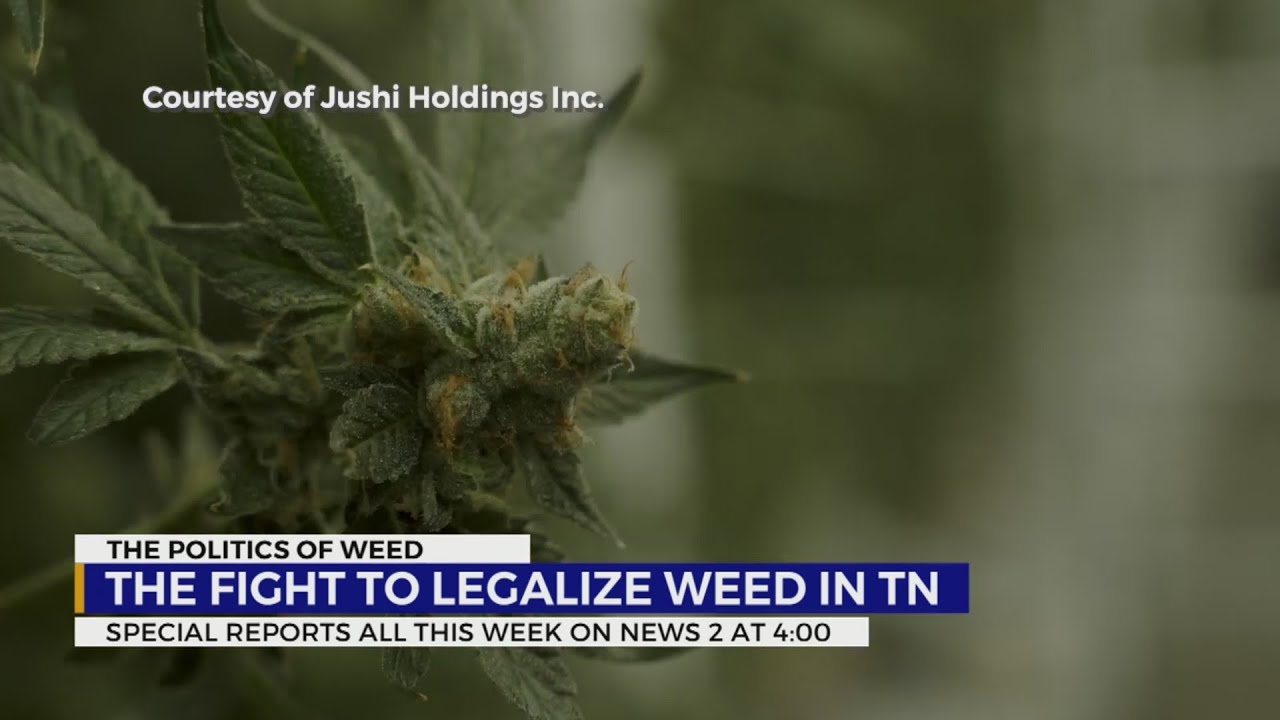 The Fight To Legalize Weed In Tennessee - YouTube