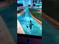 Jump Into Water In GTA Vice City