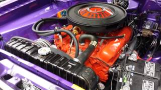 Plum crazy 70 340 duster