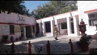 JODHPUR: firing on man in Jodhpur