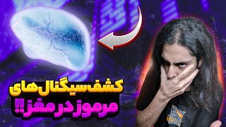 🧠حرکتهای عجیب و مرموز در مغز کشف شد🧠