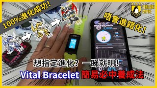 指定路線100%進化成功！　Vital Bracelet  簡易必中養成法 ｜數碼暴龍 Digimon 育成手環 バイタルブレスラ‪ボ‬