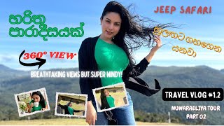 Moon Plains Sri Lanka | සඳතැන්න Sandathenna |Breathtaking 360° View | Nuwaraeliya 02 | Travel Vlog