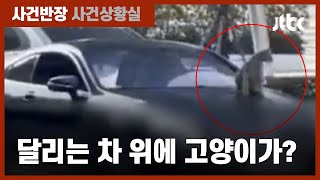 자동차 보닛 위에 매달린 고양이?…운전자 \