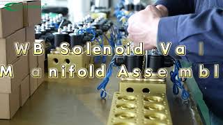 2WB Solenoid Valve Manifold Assembly