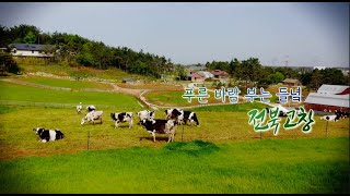 푸른 바람 부는 들녘 - 전북 고창 예고