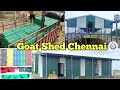 Hi Tech Model Goat Shed | 9788770786 @kpnroofingshedindia1231 #goat #sheep