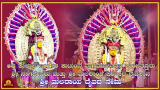 Kunjathuru || ಅಡ್ಕ ಕುಲಾಲ ಬಂಗೇರ ಕುಟುಂಬ ನಾಗಮೂಲಸ್ಥಾನ || ಶ್ರೀ ಮಲರಾಯ ದೈವದ ನೇಮ