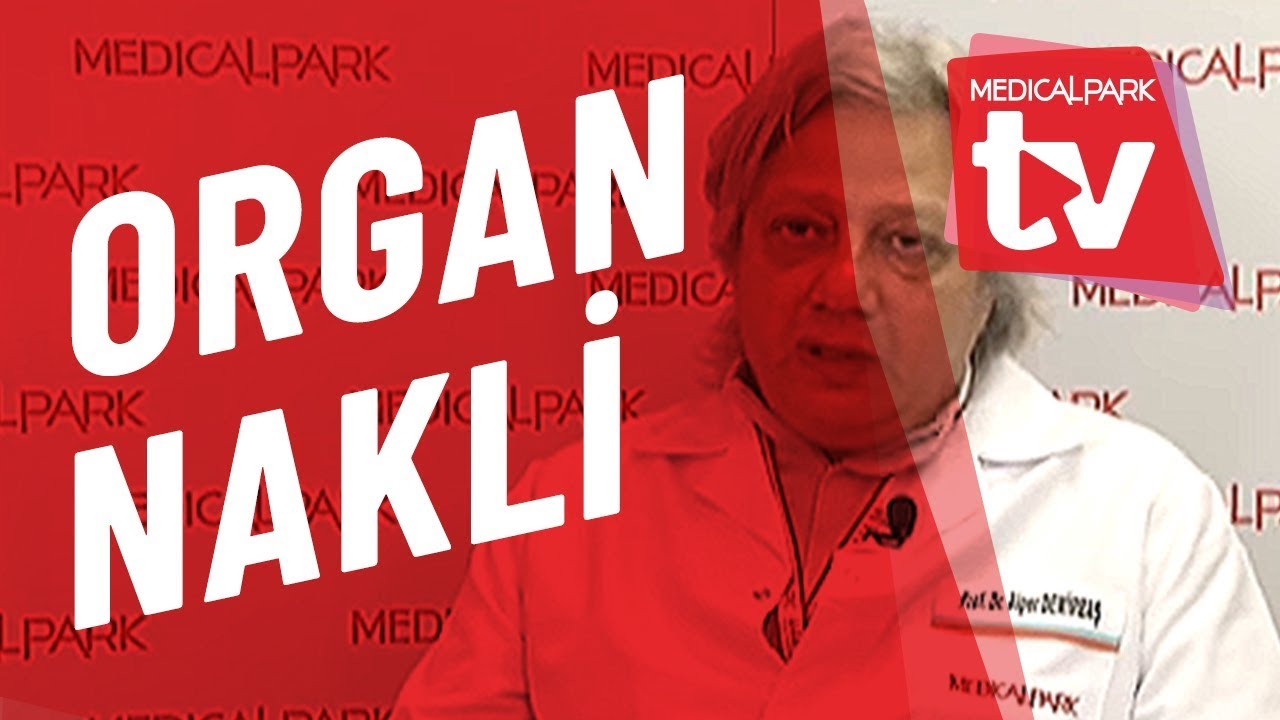 Hangi Organların Nakli Yapılabilir Medical Park TV - YouTube