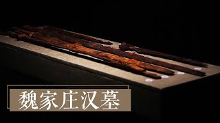 胆大妄为的墓主人竟拿战略物资做陪葬品？ 《魏家庄汉墓》| 中华国宝