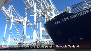 【酷僑專區】跟著海外學生一起環遊世界｜美國舊金山灣區｜2024｜The Largest Container Port On The West Coast Of The United States