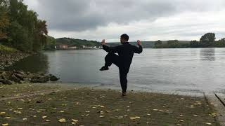 Meister Yang Jian Chao - Taijiquan aus Yongnian, Guangfu