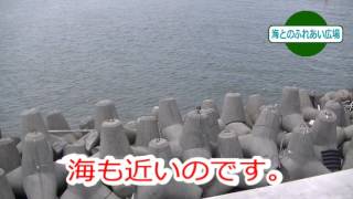 堺浜-海とのふれあい広場