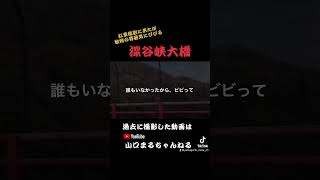 紅葉撮影に山口県岩国市の【深谷峡大橋】を通過したがビビって車から降りれなかった…