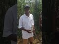 Mr. Peter Gonlah discussing his farming operation