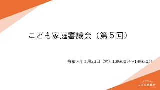 こども家庭審議会（第５回）