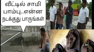 'வீடுகட்டும் போது வந்த சாமி பாம்பு !' @vaniyambadi #cobra appears in home