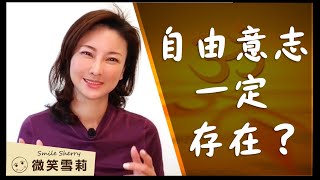 從八字哲學中談自由意志｜為什麼自由意志一定存在？｜看似與源頭分離的背後是為了與之一般的強大｜放手讓他自由才是成就最真實的自己｜靈性養神【微笑雪莉】