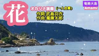 花·瀧廉太郎·歌詞付き·🎵合奏·1040曲目·オカリナハイビスOcarina Hibi's