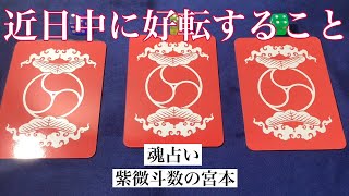 【魂占い】近日中に好転することを占いました！