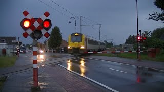 Spoorwegovergang Balen (B) // Railroad crossing // Passage à niveau