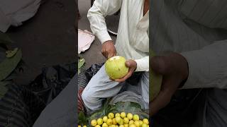 1$ Dollar Big Guava Indian Market  #shorts #guava  #fruit  #fruitcutting