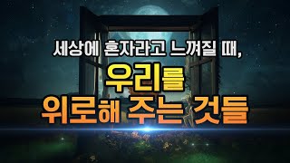 세상에 혼자라고 느껴질 때, 우리를 위로해 주는 것들 | 위로, 마음정리, 마음챙김, 위안