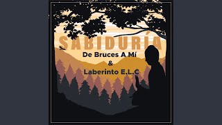 Sabiduría