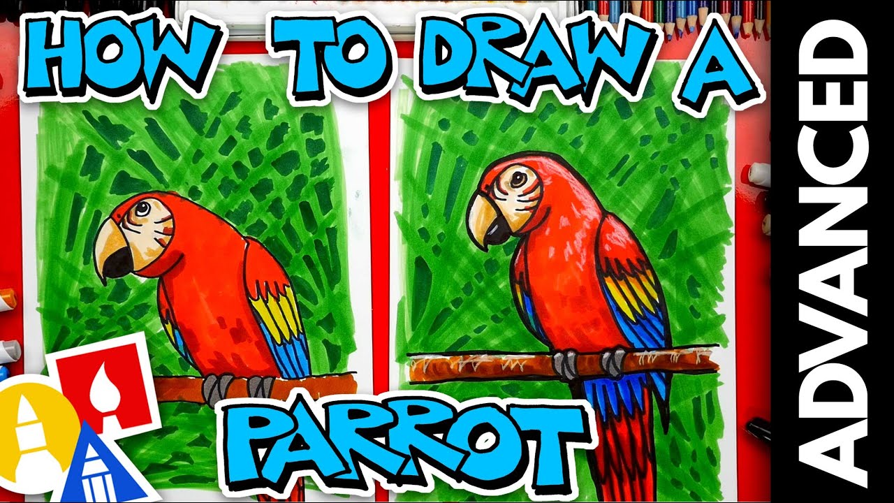 How To Draw Realistic Animals Art Hub Bmp Brah How To Draw Realistic Animals Art Hub Bmp Brah