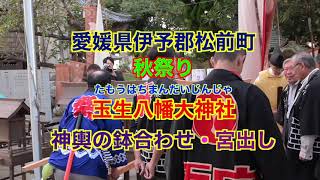 2024秋 松前町秋祭り 玉生八幡大神社 鉢合わせ、宮出し