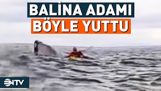 Balina Kano Yapan Adamı Yuttu! İşte O Anlar | NTV