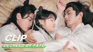 Clip: Rong Er Sleeps With Drunk Ting Zhou And Xian Xun | Decreed by Fate EP06 | 千金难逃 | iQiyi