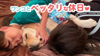 ワンコと過ごす幸せな休日💓アクティブな日々を送るラブラドール姉弟をご紹介🐶｜PECO