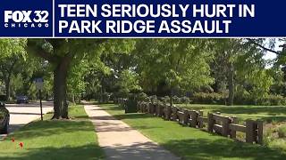 Father calls for justice after teen son seriously hurt in Park Ridge assault
