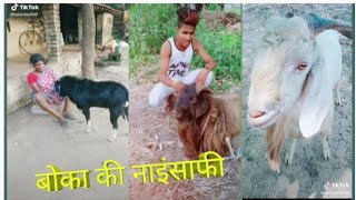 बोकबा का जबरदस्त कामेडी वीडियो So funny video bokaba